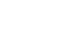 SELF