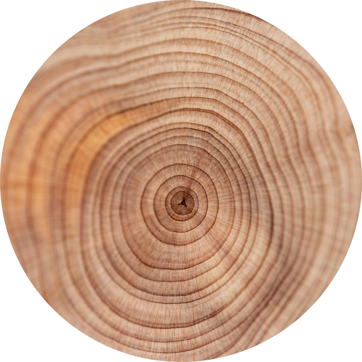 Sandalwood, Traditional - Essential Oil