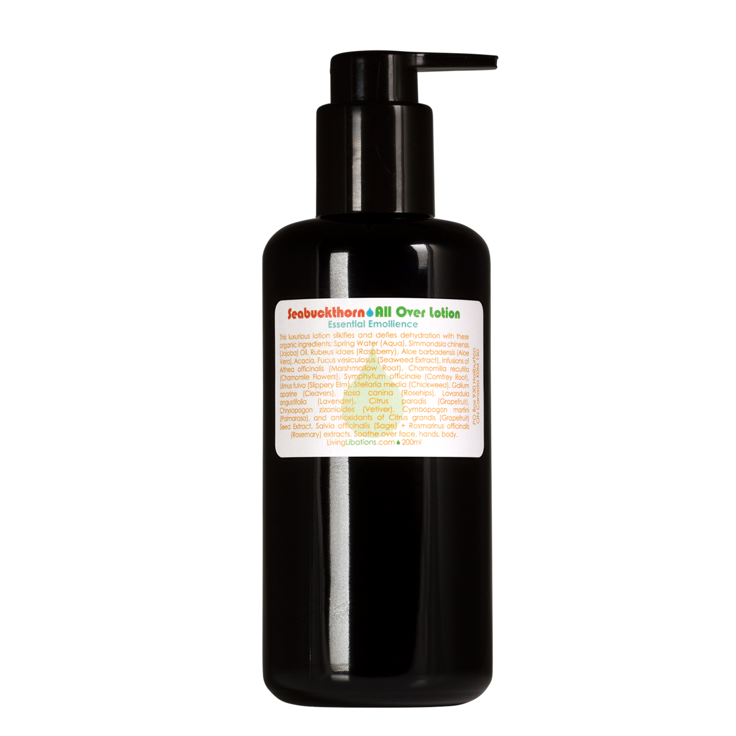 Seabuckthorn - All Over Lotion