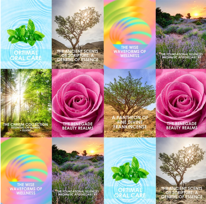 THE COMPLETE - BOOKLET BUNDLE