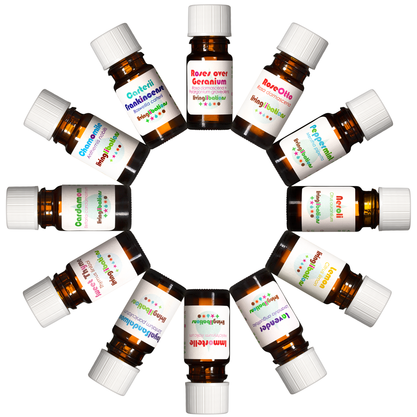 Nadine's Top Twelve Essential Oil Kit