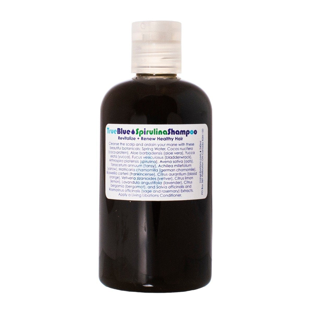 True Blue - Spirulina Shampoo