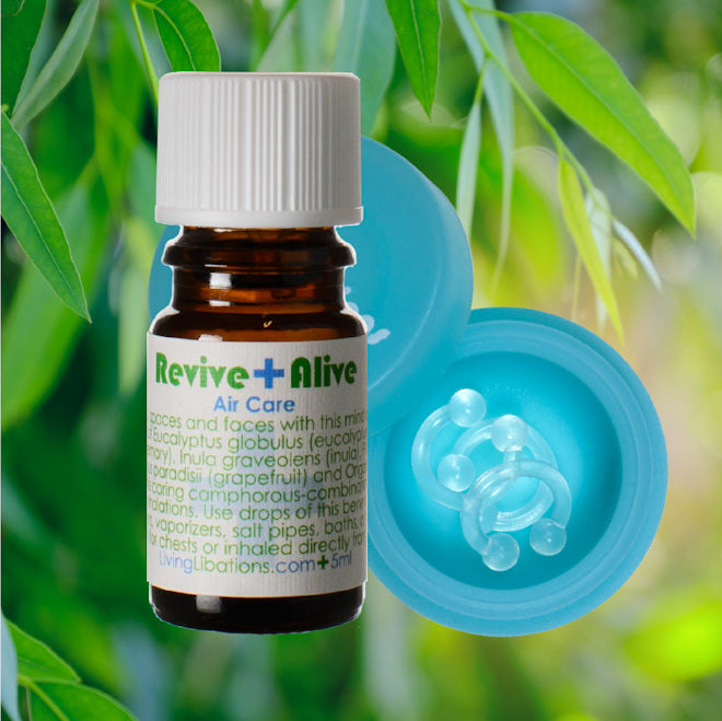 Botanical Bling Nose Ring Diffuser Bundle