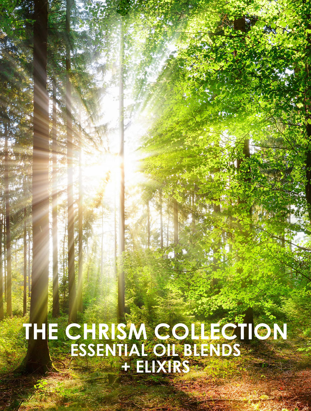 The Living Libations - Printed Booklets