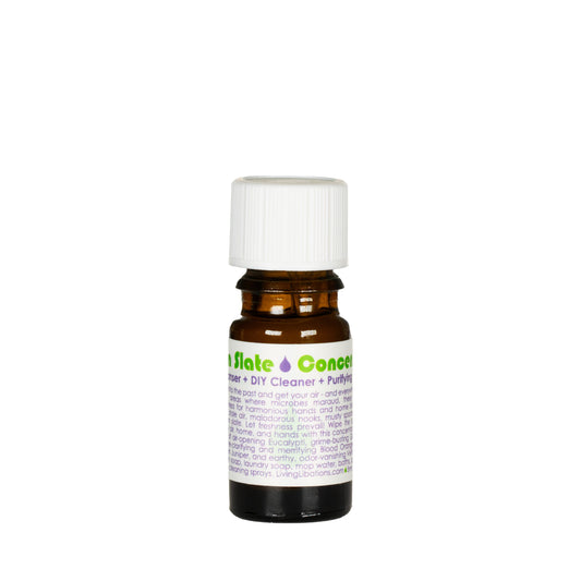 Clean Slate Concentrate - Air Cleanser + DIY Cleaner + Purifying Chrism