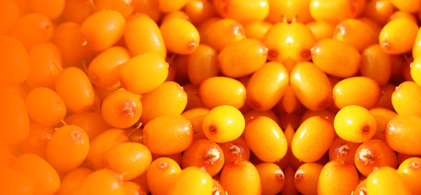 Seabuckthorn Berries