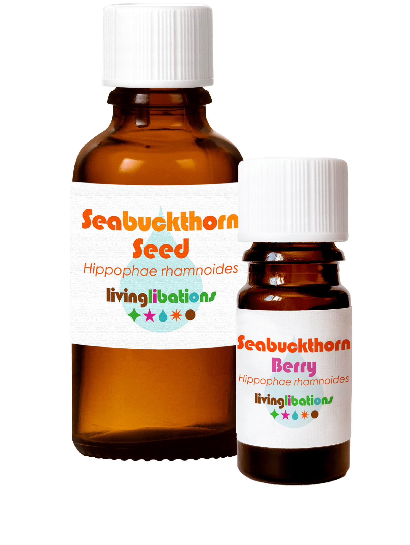 superb Seabuckthorn Seed carrier oil and Seabuckthorn Berry Essential oils 