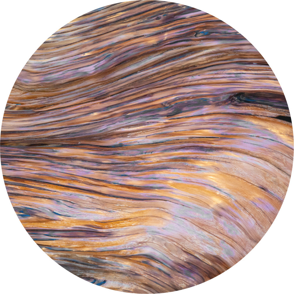 Sandalwood - Absolute