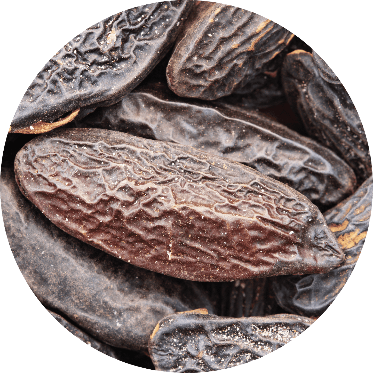 Tonka Bean - Absolute