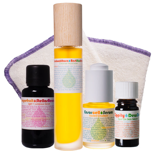 Brilliant Beauty - Basic Blemish Bundle