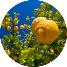 Load image into Gallery viewer, Lemon Essential Oil