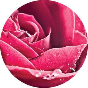 Rose Attar Essential Oil