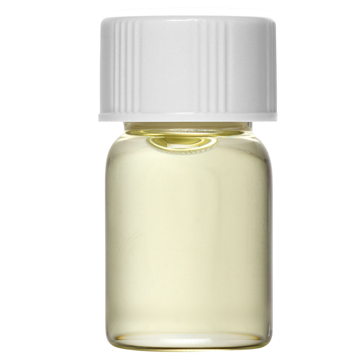 Poplar Balsam Essential Oil